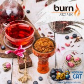 Табак Burn Red Mix (Чай со смородиной) 100г Акцизный